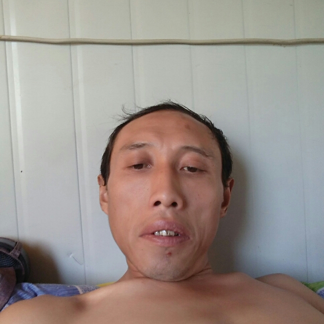 乌冬面回首火星上的照片