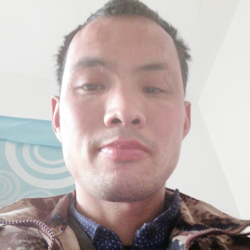 健壮的老鹰的照片