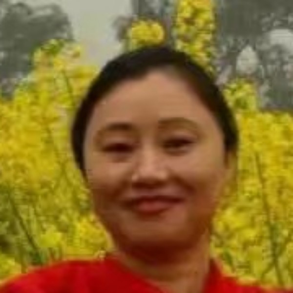 569120的照片
