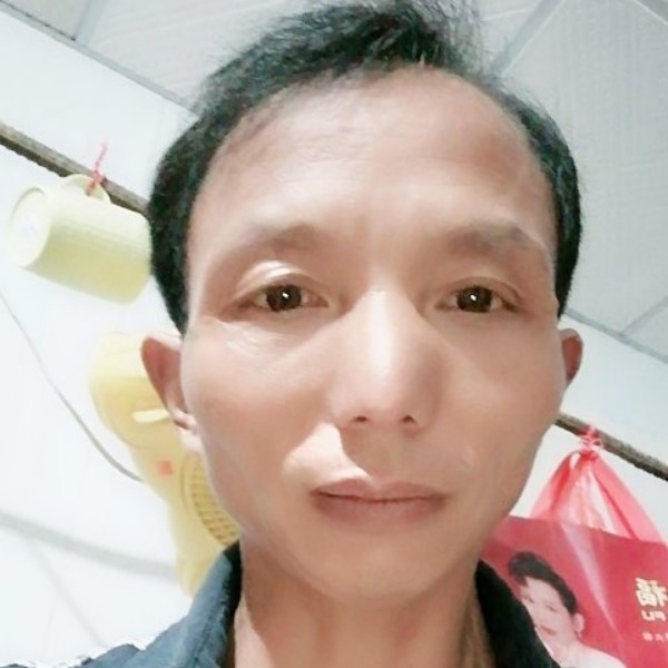 迷路晨曦的照片