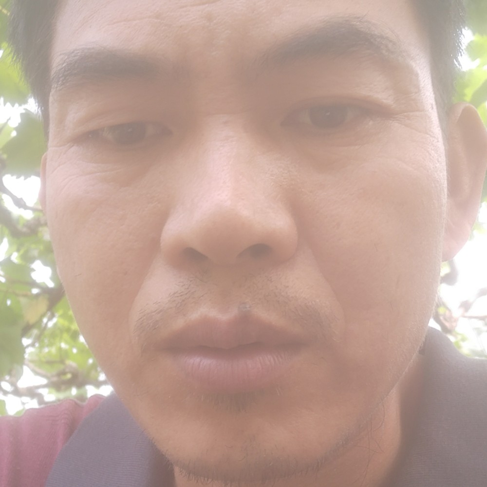 shan 打野镇土的照片