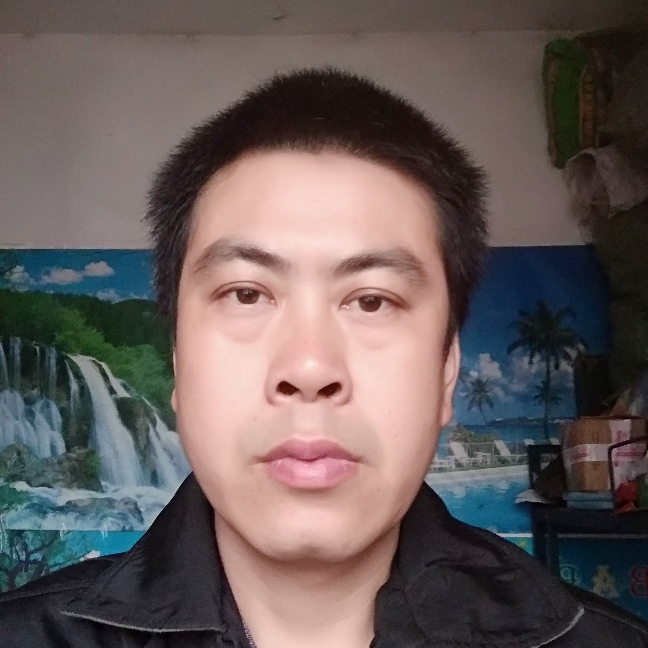 羊贪玩的照片