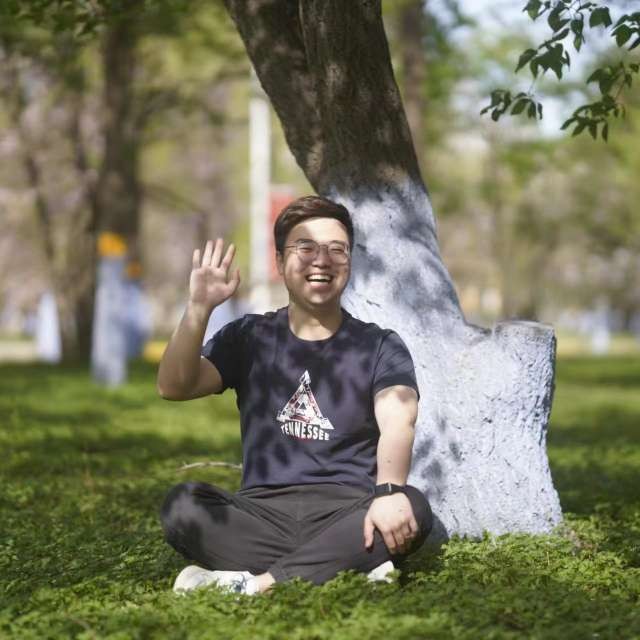 彩色de花朵的照片