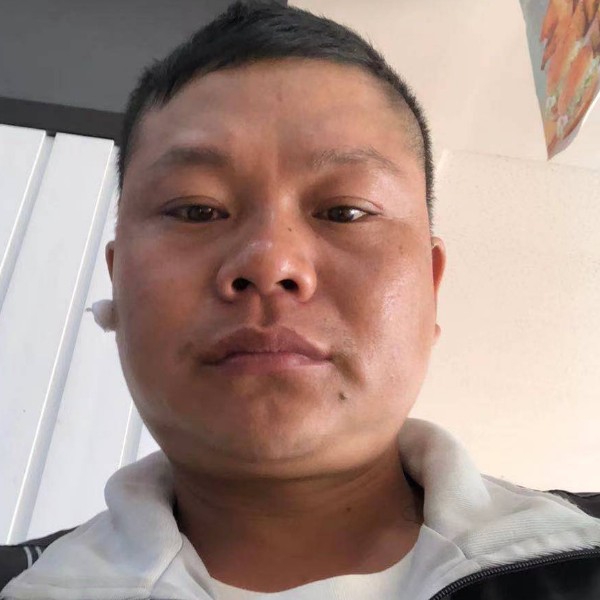 苹果迎碧影的照片