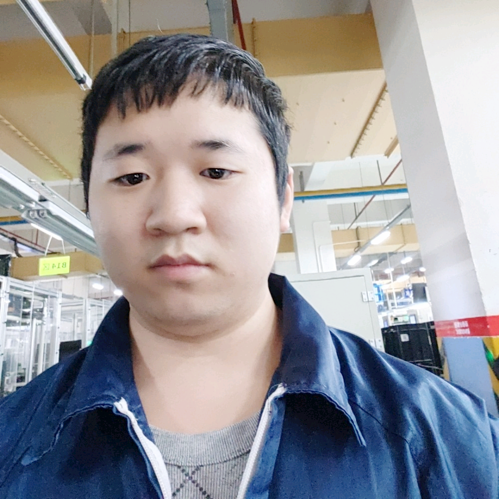 守护叶的照片