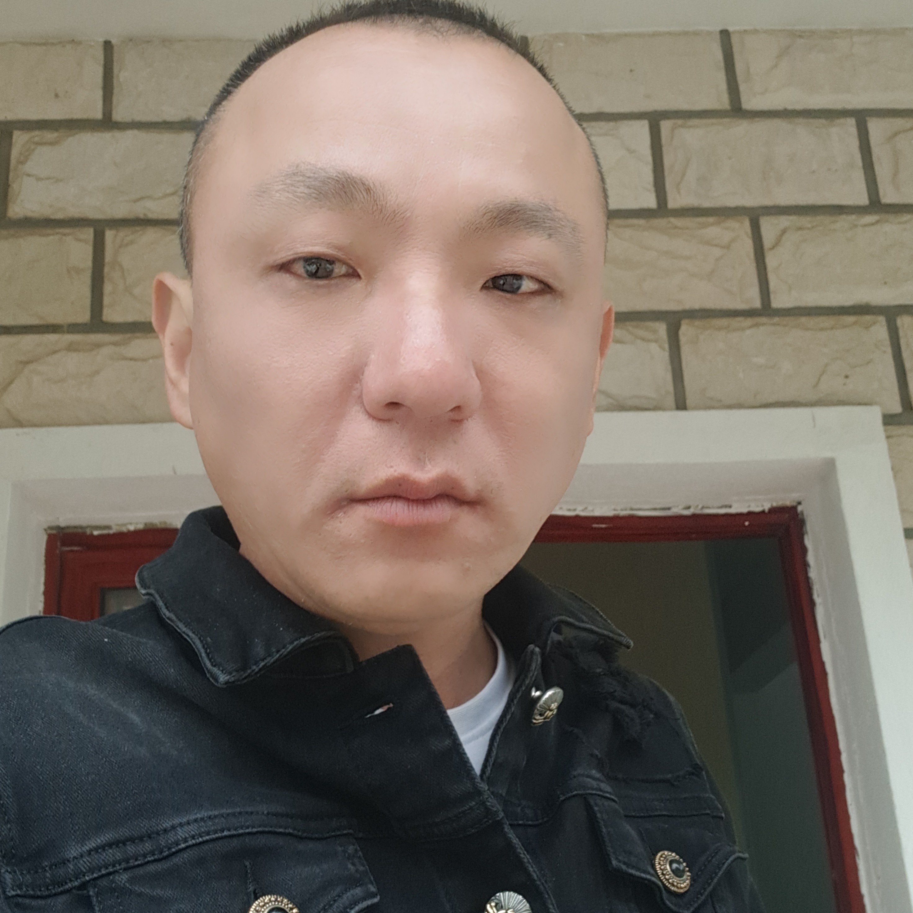 夕照乔木马么么哒的照片