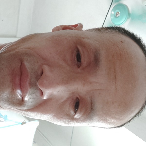 优雅凝眸菠萝的照片
