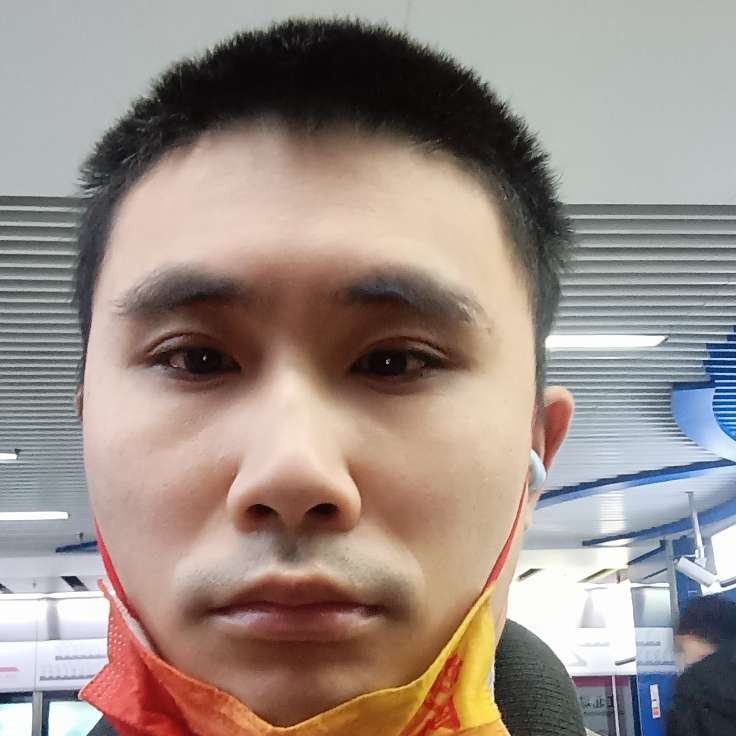 飞虎金刚的照片