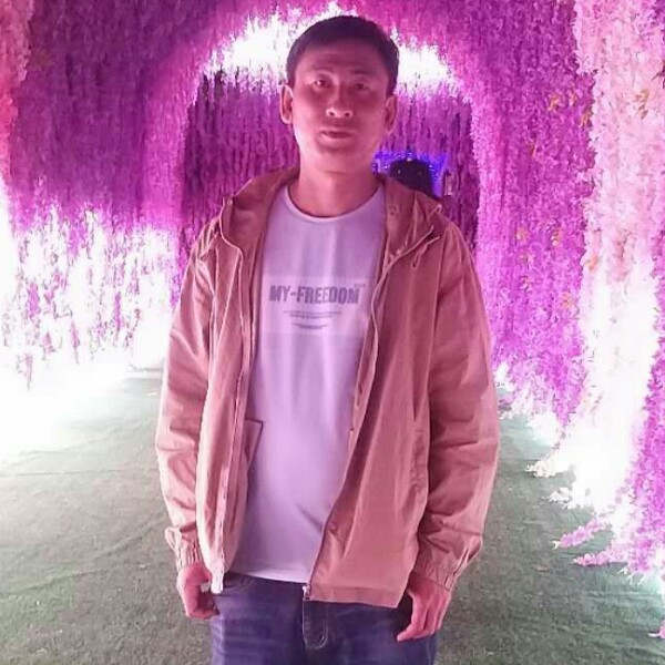 和谐有白猫的照片