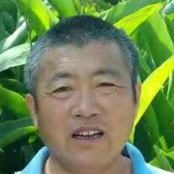 何关营的照片