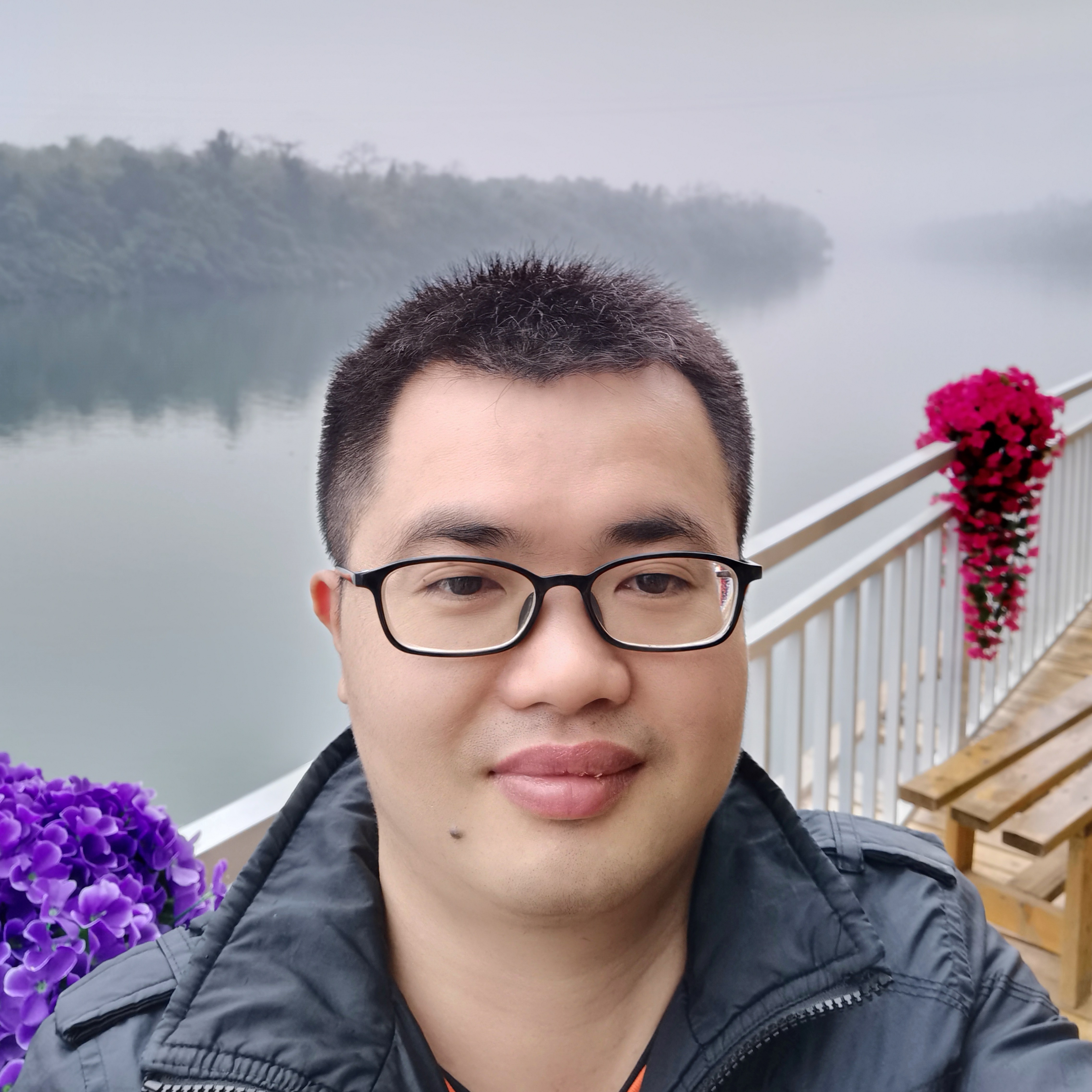 灰狼还复杂的照片