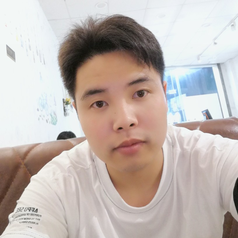 举重蚂蚁的照片