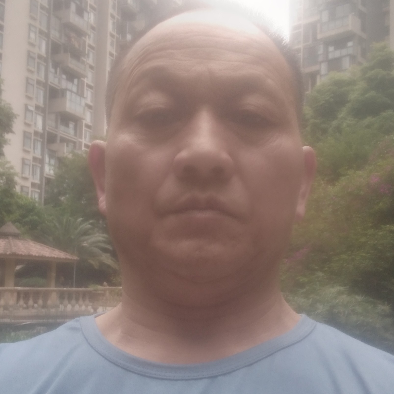 枫叶有等待的照片