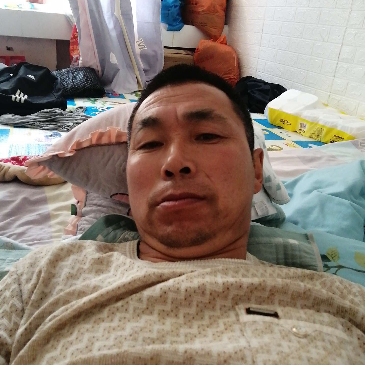 细腻回首康乃馨的照片