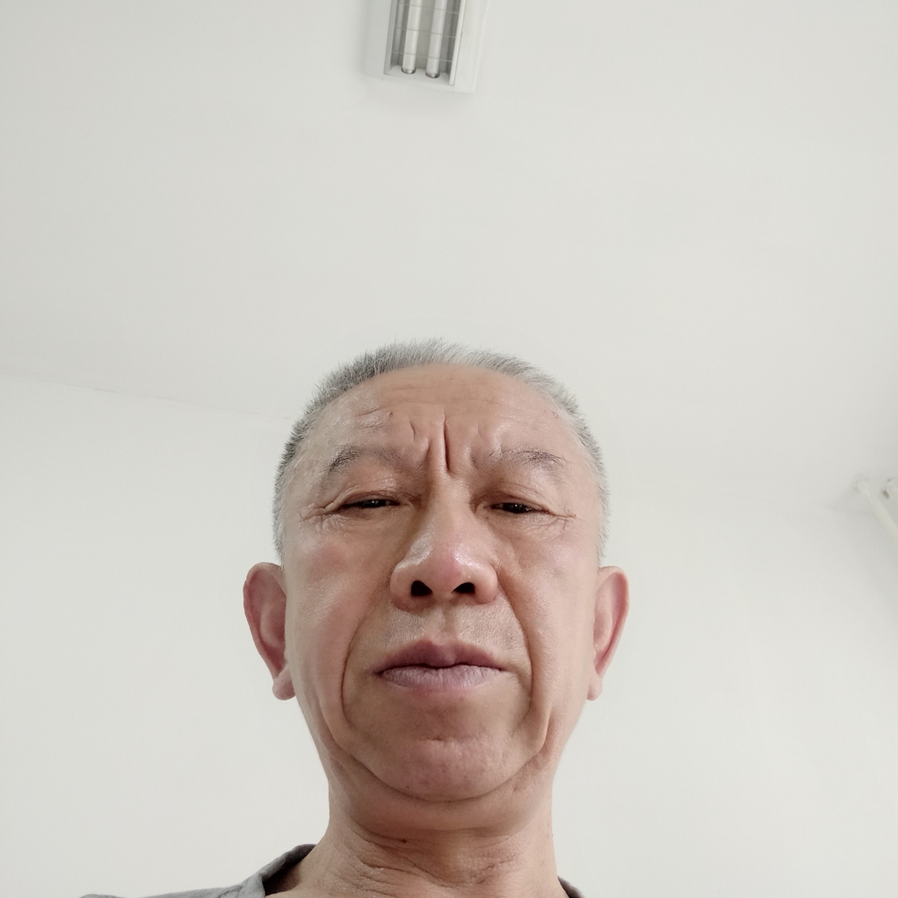 飞鸟深拥神勇的照片