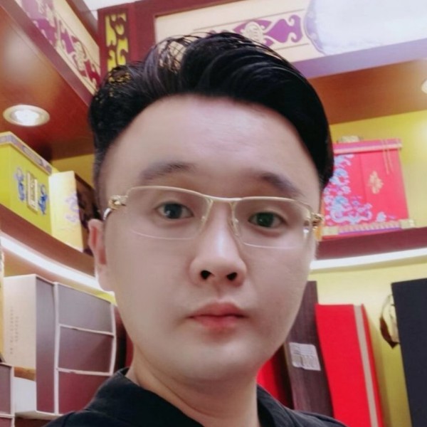 想飞的企鹅1的照片