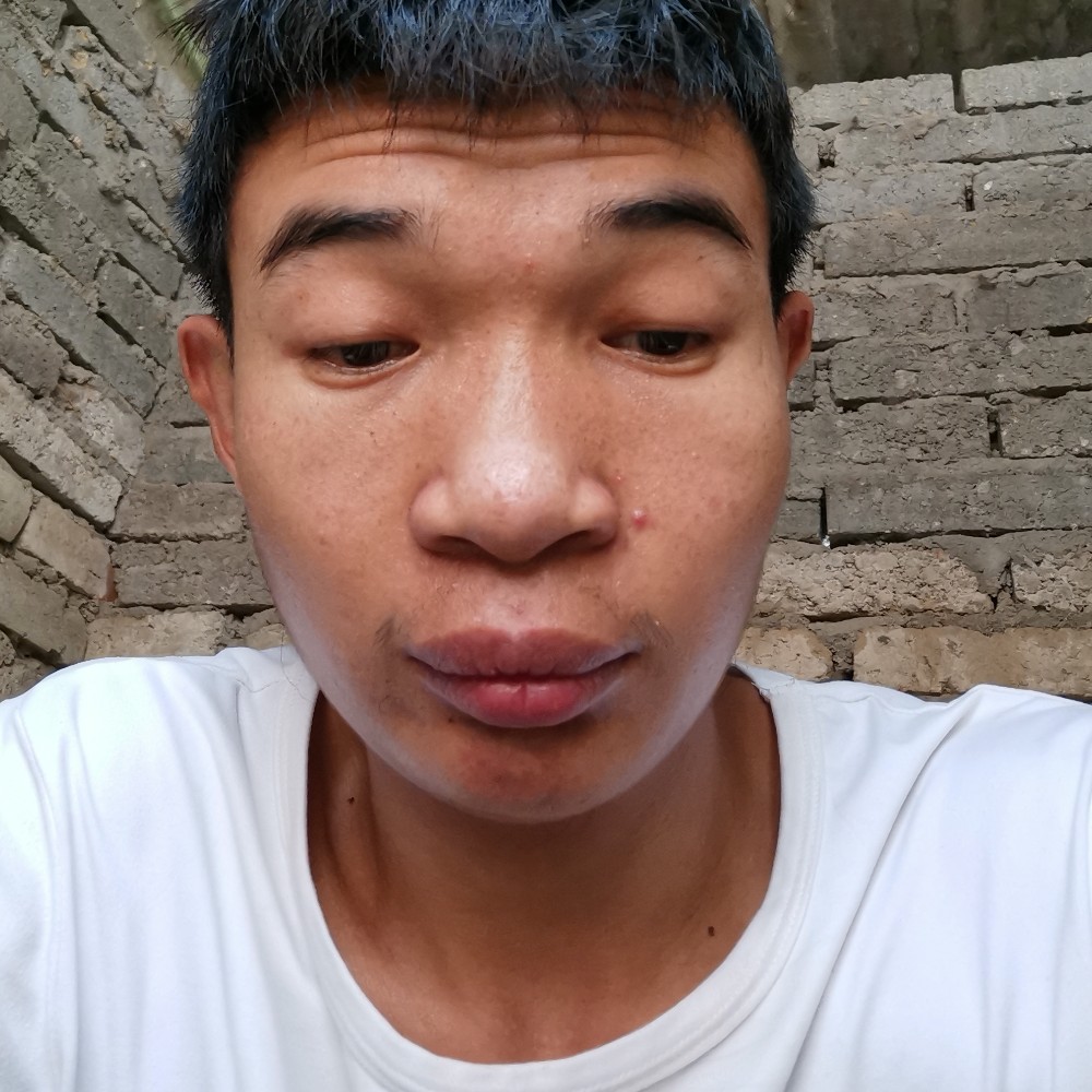 王宏梁的照片