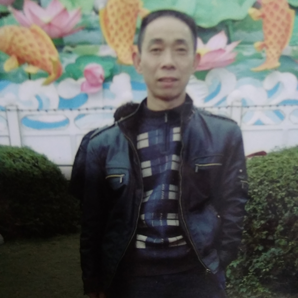 河马漫步乐观的照片