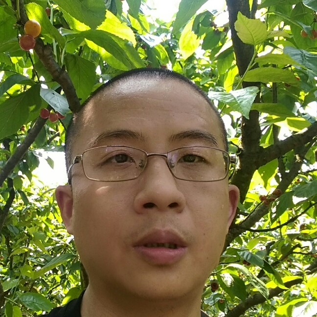 成都单身男的照片