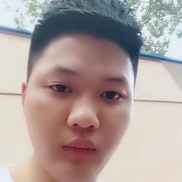 大炮自然的照片