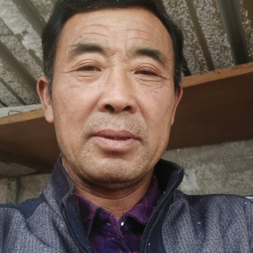 唐氏,园林的照片