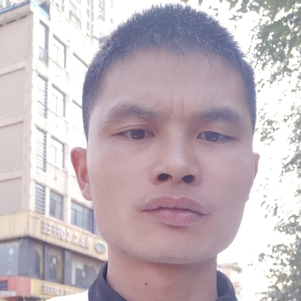 虚拟黄豆的照片