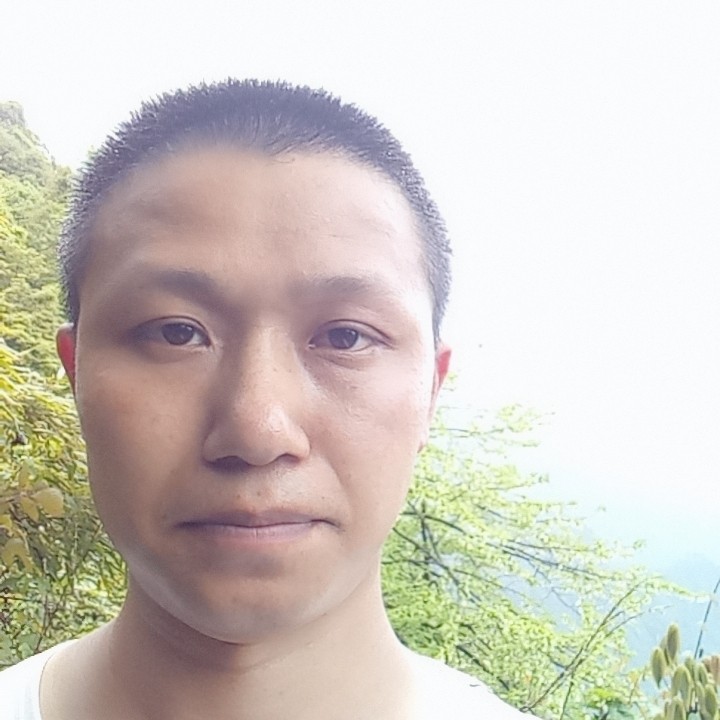 幻彩海棠的照片