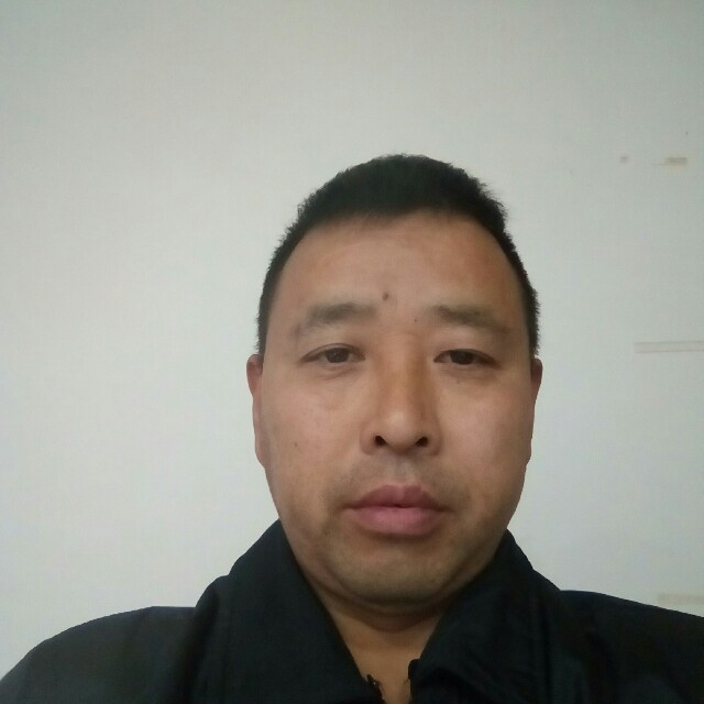 活泼小海豚的照片