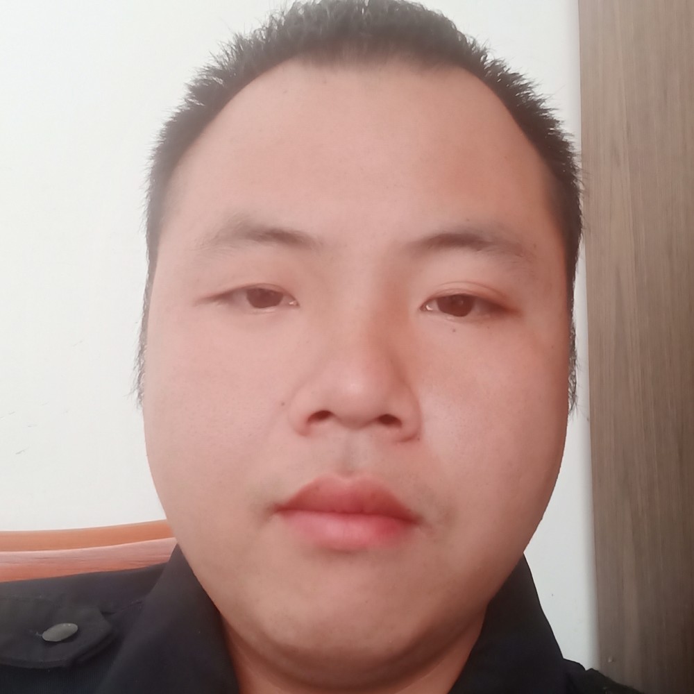 孤心相许笨笨的照片