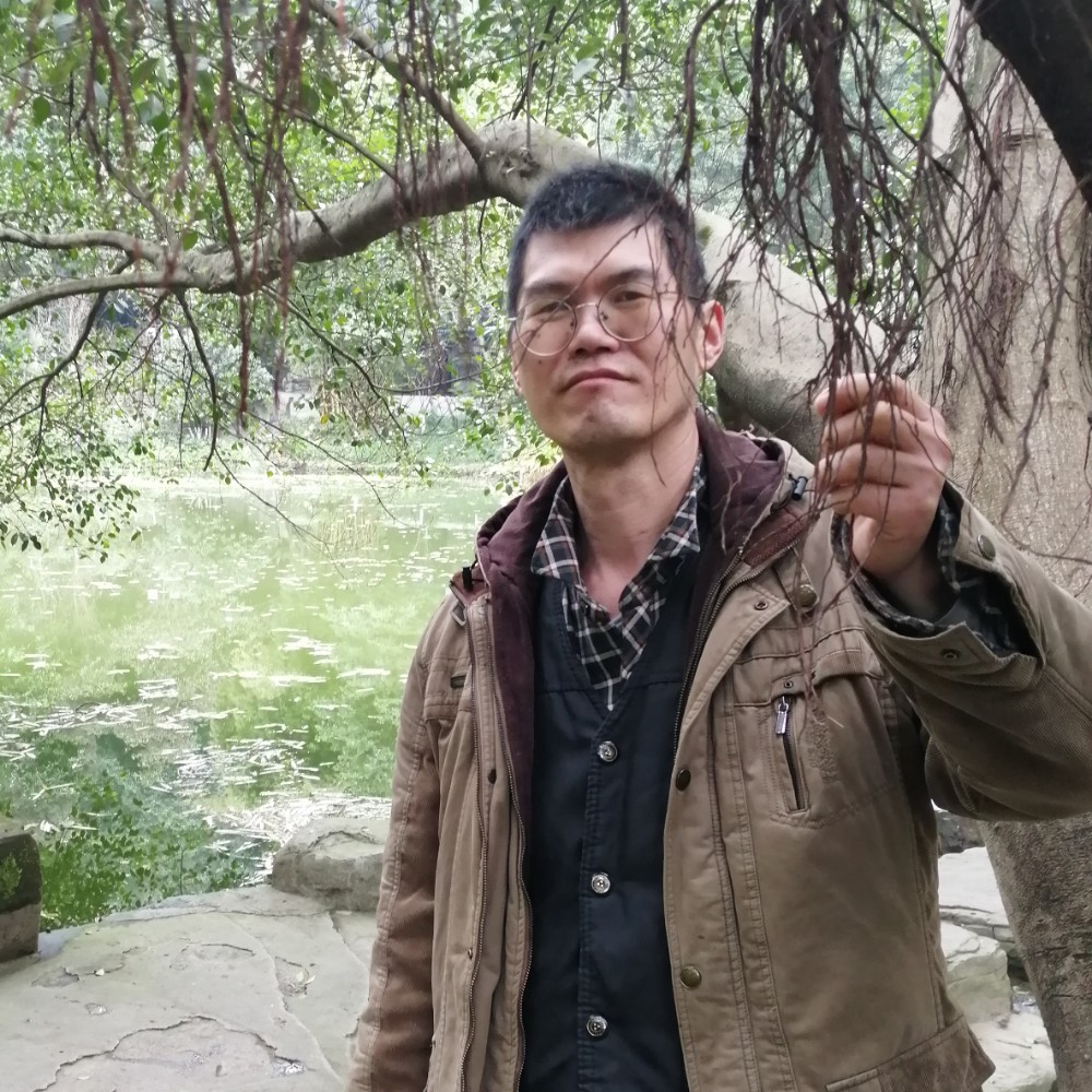 苦恋枫叶的照片