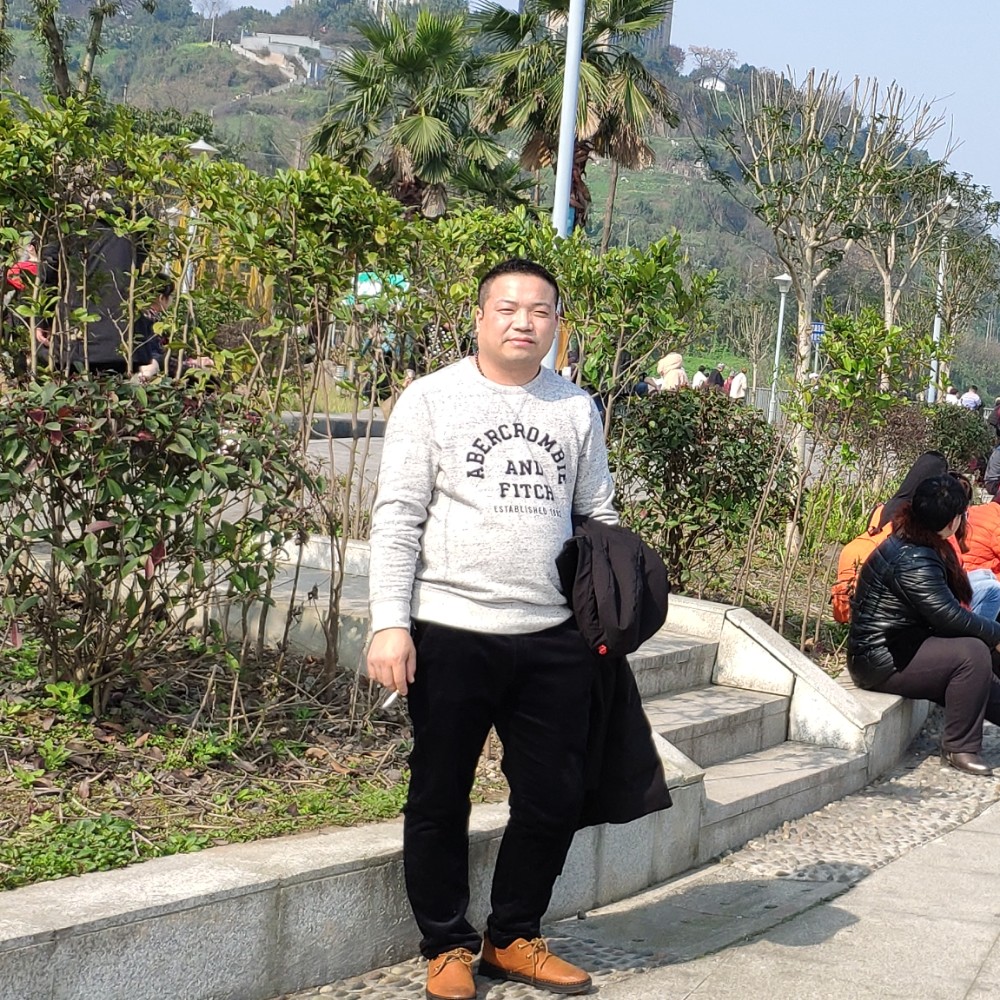 自由的路灯的照片