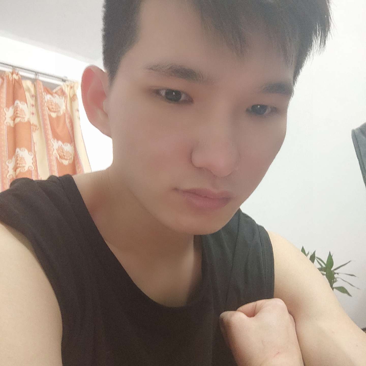 寒风静的照片
