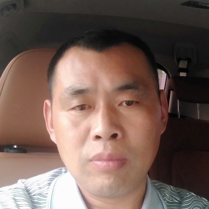 动车跑里快的照片