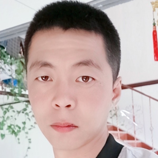 蜜蜂改变想人陪的照片