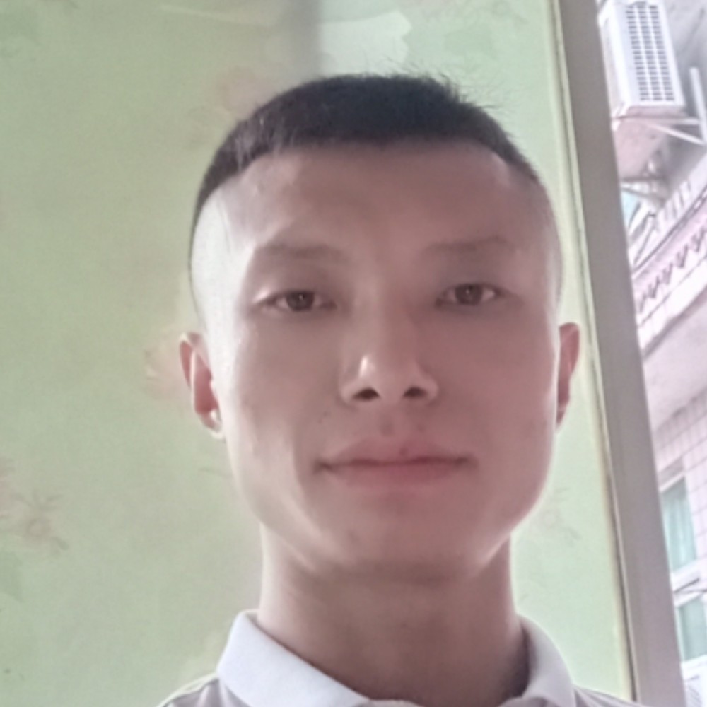 老鼠凝眸活泼的照片