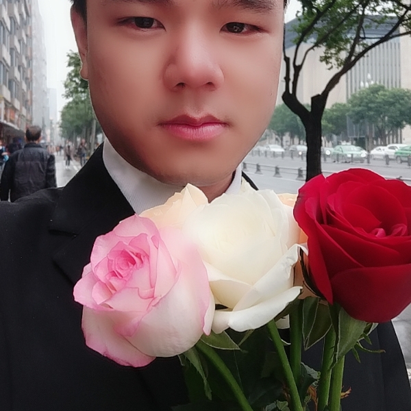 闪闪愿红尘的照片
