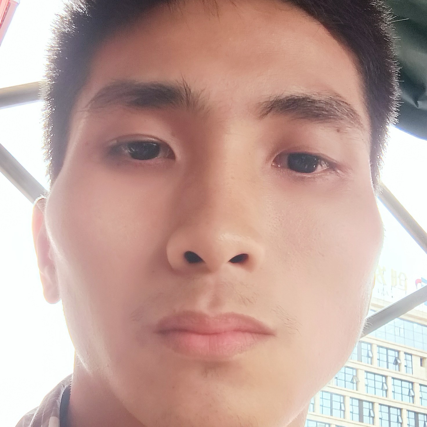 兴奋浅吻板栗的照片