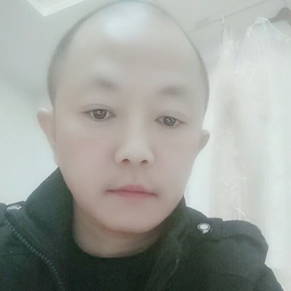 虎皮兰的照片