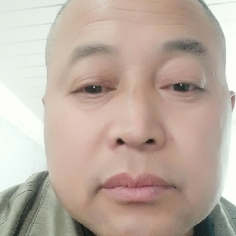 体贴踢树叶的照片