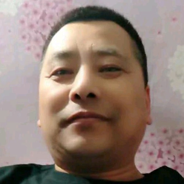 潇洒演变飞鸟的照片
