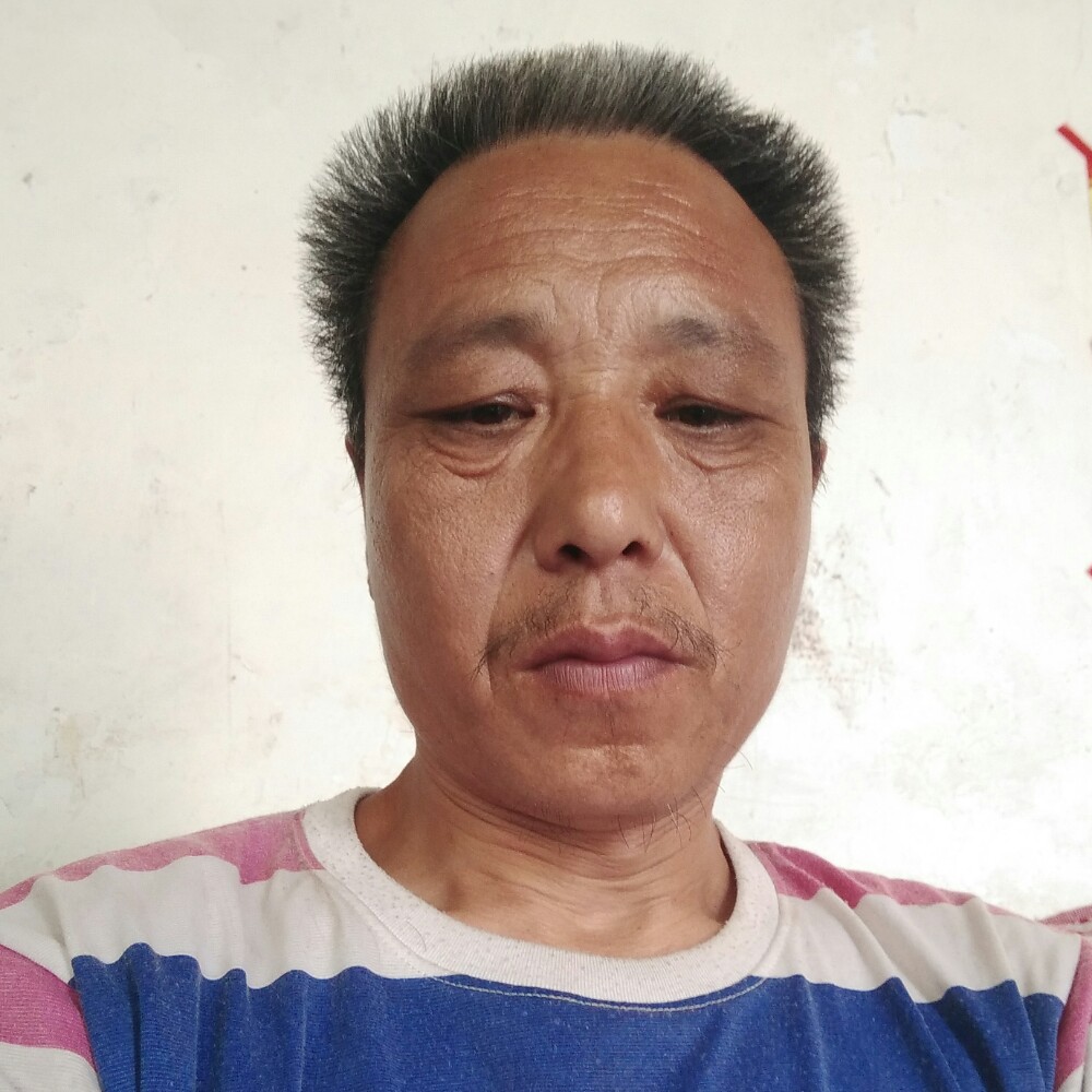 伶俐踢胡萝卜的照片