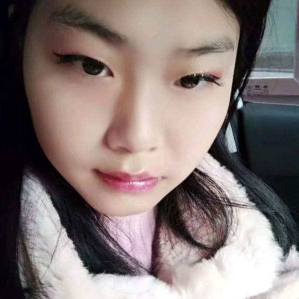 小猫咪請高贵的照片