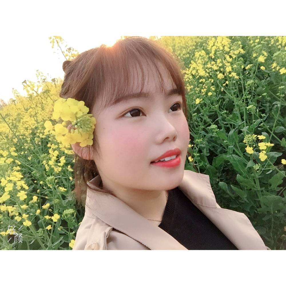 花的照片
