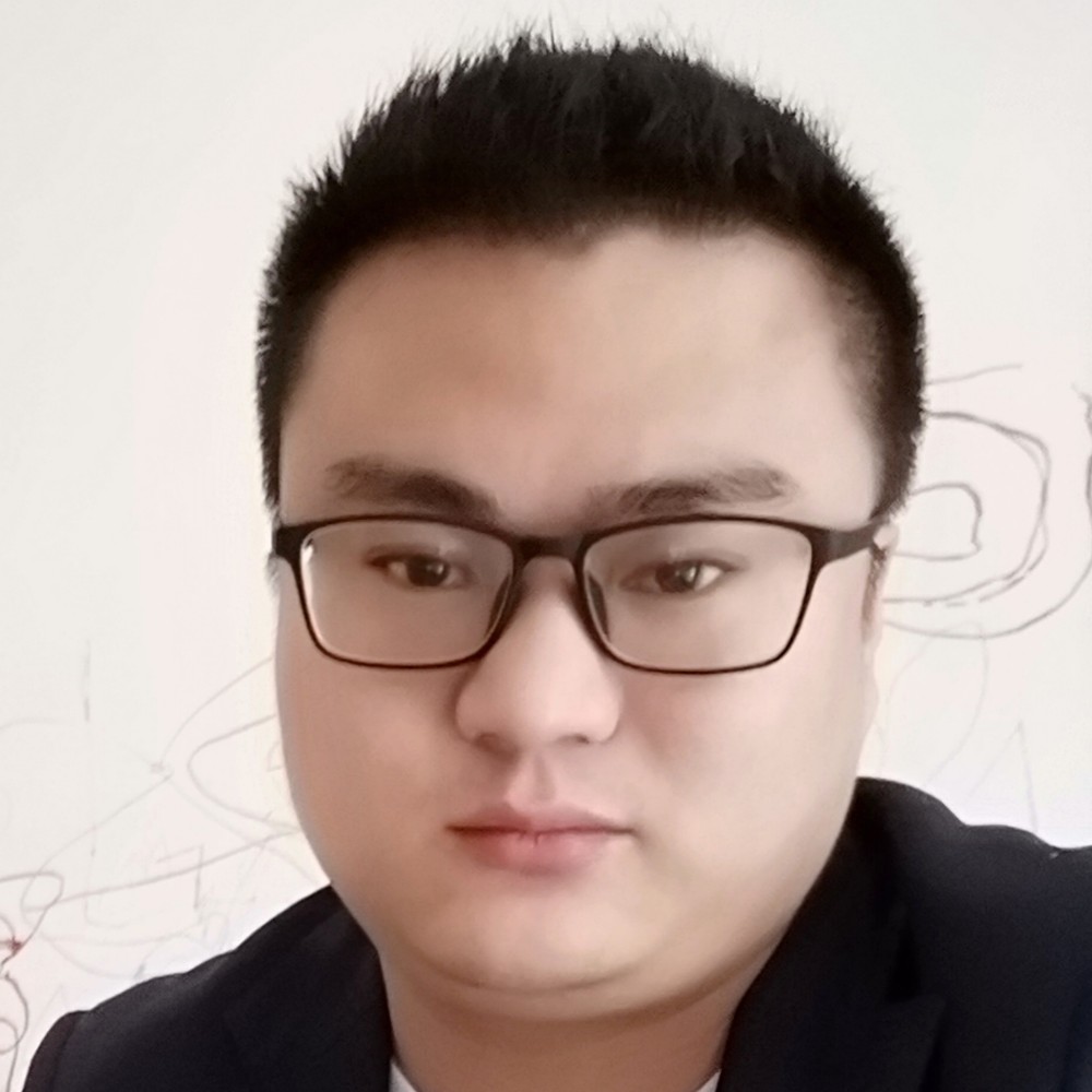 聪慧就大象的照片