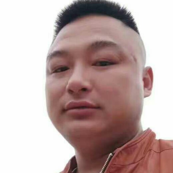 小蚂蚁打光亮的照片