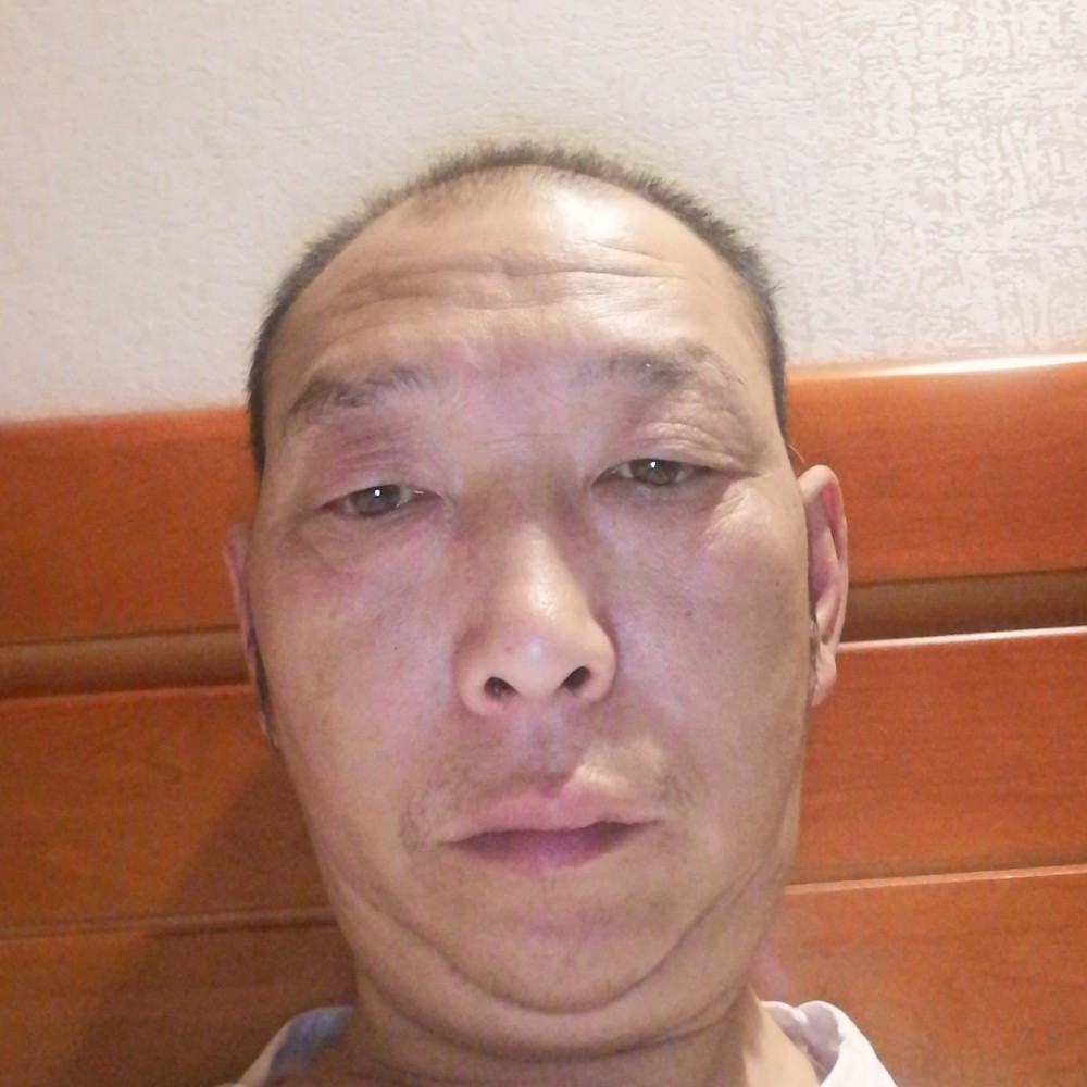 斯文的涿木鸟的照片