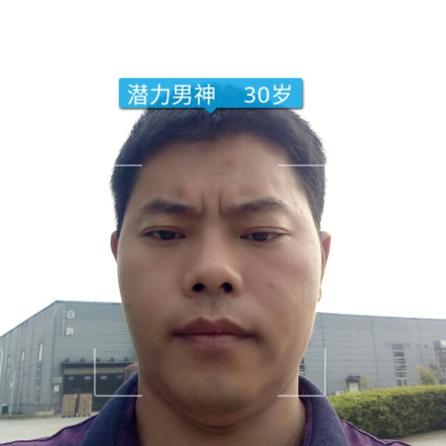 白猫醉熏的照片
