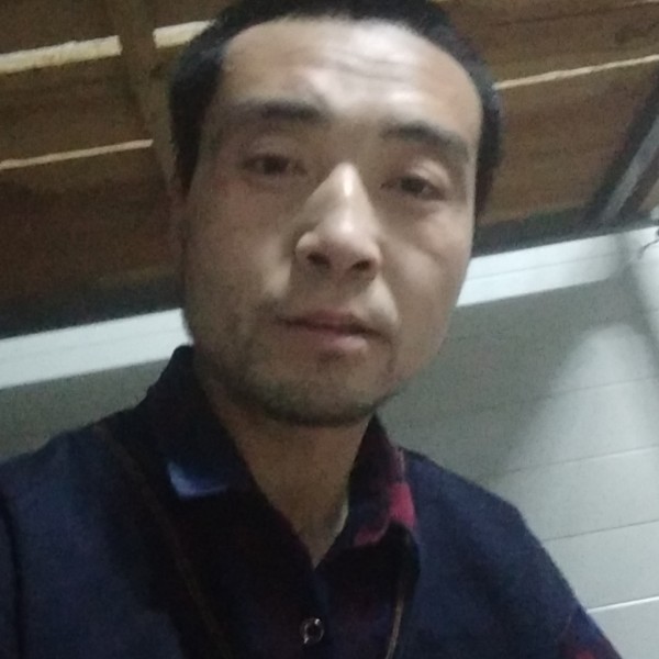 追寻爱磬音的照片