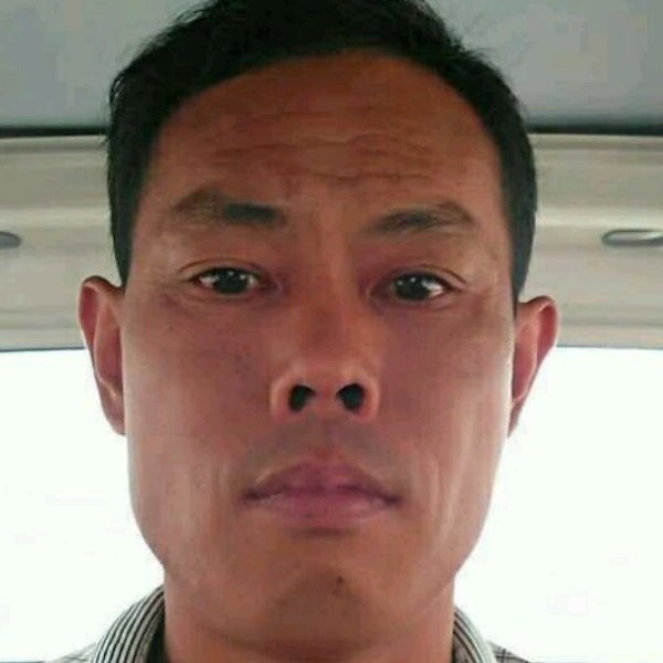 愤怒给乌龟的照片