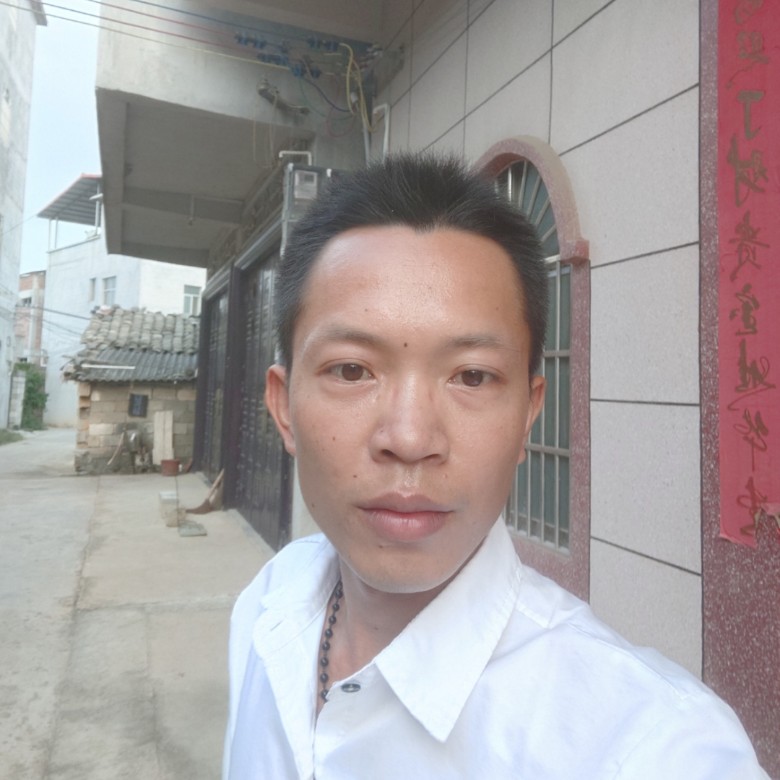 真心来找老婆的的照片